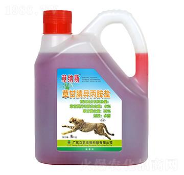 41%�ݸ�좮������}����s�ͣ�-�ݼ{˹-�V�|���r(n��ng)