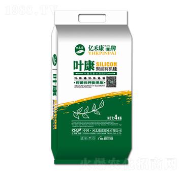 �����ЙC(j��)��-�~��-���Z�ʘI(y��)