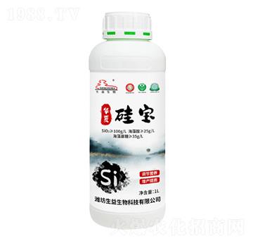 �����-�A�Ĺ茚-��������