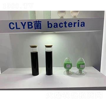 CLYB��-��������
