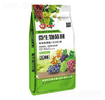 40kg΢�������-��M�}