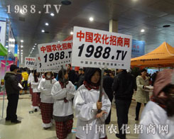 1988.TV������(zh��n)��(hu��)��(ch��ng)�����o(w��)��ֹ