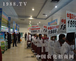 Ҋ(ji��n)�C1988.TV�W(w��ng)����ꂥ���ƏV����