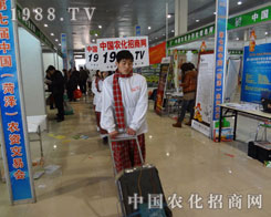 �r(n��ng)���W(w��ng)����鰺����ǰ