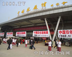 �r(n��ng)���W(w��ng)���Թ��е��ˑB(t��i)���A���˅���(hu��)���P(gu��n)ע��Ŀ��