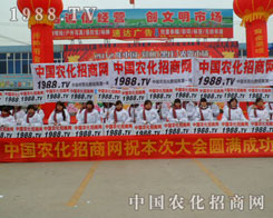 �������ȵ��ļ���1988.TV�F(tu��n)�(du��)ǰ�M(j��n)�Ą�(d��ng)��