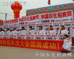 ʲô������1988.TV���ϸ�������(zh��n)�Ե�չ��(hu��)�ƏV