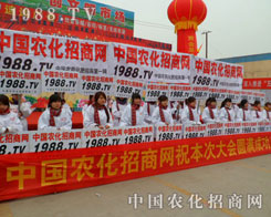 �r(n��ng)�����̾W(w��ng)ȫ���Ը��ľ���l(f��)�P(y��ng)�ĺ���������