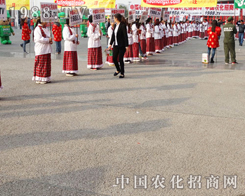 2013�����r(n��ng)ˎ�p����(hu��)�ϵ�Ӣ�ۂ�