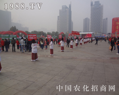 2013����ֲ��չ���r(n��ng)���W(w��ng)��(chu��ng)չ���ƏV�¸�