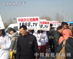 �ʝɵ�8���r(n��ng)�Y���ו�(hu��)׌�r(n��ng)���W(w��ng)�������_(t��i)�A��