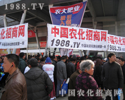 ǰ�M���r(n��ng)�����̾W(w��ng)��Ŀ��