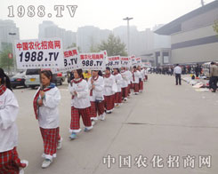 2013�������ݷ����p����С���ȫ��ƴ��