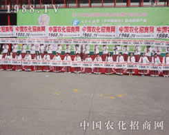 2013���ݷ��ϕ�С��ꖂ����[����ݔ����