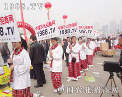 2013���Ϸ��Ͻ��ו����r���F꠲����Գ�