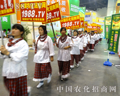 2014�����r(n��ng)ˎ������1988.TV��(zh��n)ʿ�ɞ齹�c(di��n)
