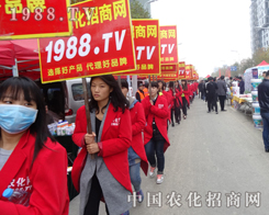 2015�Ϸ�ֲ����(hu��)���r(n��ng)���W(w��ng)�gӭ���ĵ���