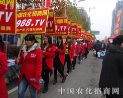 2015��ֲ���������������̃ɲ��`