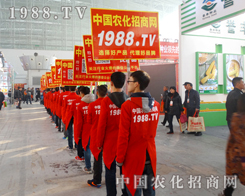 1988.TV�����ˆT�����w�P���������