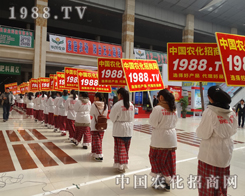 1988.TV�F(tu��n)�Y(ji��)һ�y�ֲ���������ʮ��ɽ�|�ʝ��r(n��ng)�Y��(hu��)�ϵą�չ��