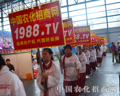 2015��12�������r(n��ng)�Y��(hu��)��1988.TV��ȫ��(ch��ng)