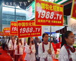 1988.TV��2015�����r(n��ng)�Yչչ�F(xi��n)�挍(sh��)��