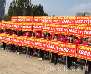 2016ɽ�|ֲ������1988.TV�����»���