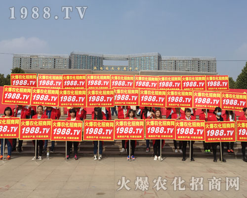 �r(n��ng)����Ӣ��2016ɽ�|ֲ�����ו�ȫ��ƴ����