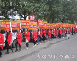 2016ɽ�|ֲ�����ו���1988.TV������