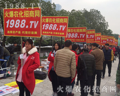 ���r(n��ng)���W(w��ng)��2016��32��ֲ�����^����ǰ