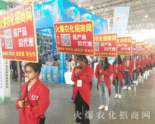 1988.TV��Ӣ�û��ļ����cȼ2017�����r�Y����