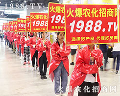 2019�Ϸ��r(n��ng)�Y���[��(hu��)�ϻ��r(n��ng)���W(w��ng)��Ӣ�ɳ�������(zh��n)��(j��)��