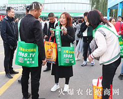 �ڶ�ʮ����ɽ�|ֲ�����ו�(hu��)�ϻ��r(n��ng)���W(w��ng)��Ӣ�ɳ�������(zh��n)��(j��)