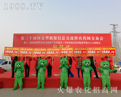 ���r(n��ng)���W(w��ng)�F(tu��n)�Y(ji��)һ�y�ֲ�������2019�ӱ�ʯ���fֲ������