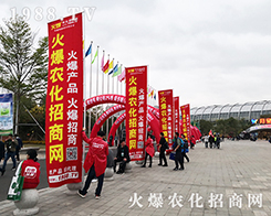 2019�����ʮ���ֲ�����ו������r(n��ng)�����̾W(w��ng)�Ì����C��һ����