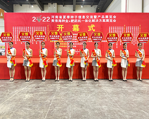 �����]�����Ĵ������������L(f��ng)�ɱM�@��