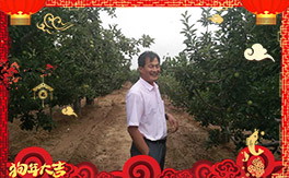 ����������ʘI(y��)��ȫ�w�T����ף���Ͽ͑�����옷(l��)�������³���