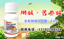 �����R�r�I(y��)����ף��λ��(j��ng)�N���������w���������������