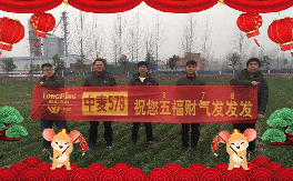 ��(li��n)¡���ʡ�ף������µ�һ�������w�������f��������