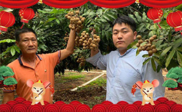 ����Դ�����ע�VԴ��ֲ������ף��λ��(j��ng)�N�����т�����t����