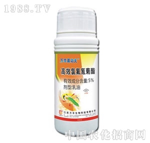 �f�S�r��-�f�S�湦��