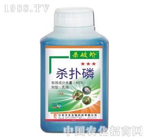 �f�S�r��-�����