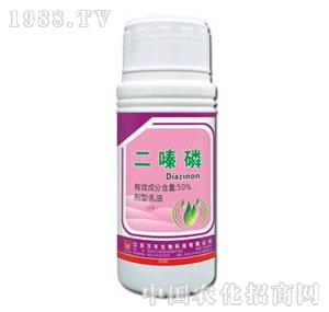 �f�S�r��-�����