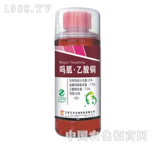 �f�S�r(n��ng)��-���������~