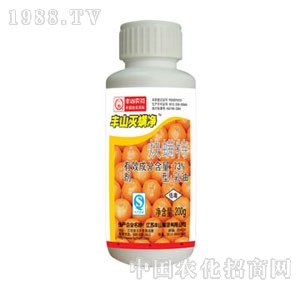 �Sɽ������