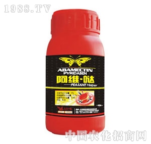 �Ͼ�һ��-���S�}