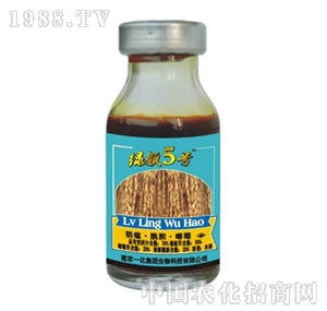 �Ͼ�һ��-�G�I(l��ng)5̖