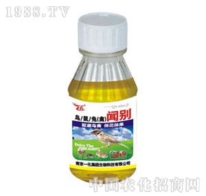 �Ͼ�һ��-�e