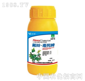 �Ͼ�һ��-����嶾����