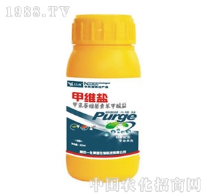 �Ͼ�һ��-�װ������S���ر������}